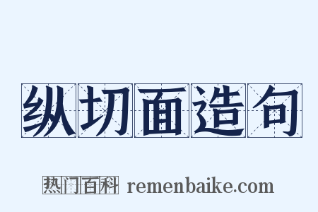 纵切面造句是什么意思的图片
